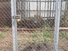 Калитки из сетки рабицы и 3D сетки