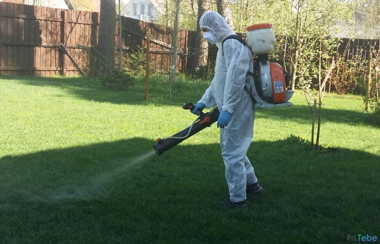 Уничтожение тараканов и комаров обработка от клещей Клин