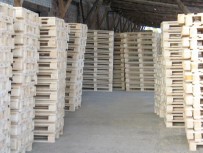 Термообработанные поддоны