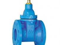 30Ч39Р задвижка чугунная 